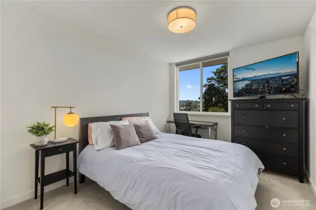 Lower level bedroom #3