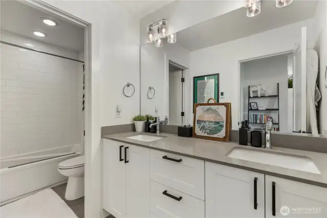 Lower level Bathroom