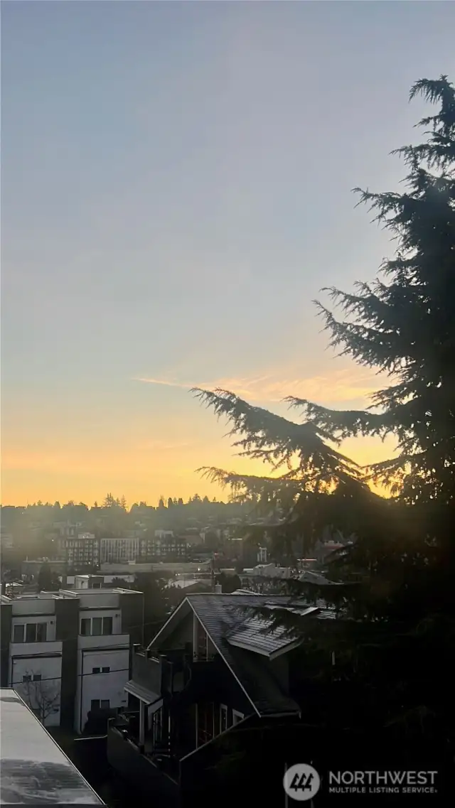 Views from Roof top deck