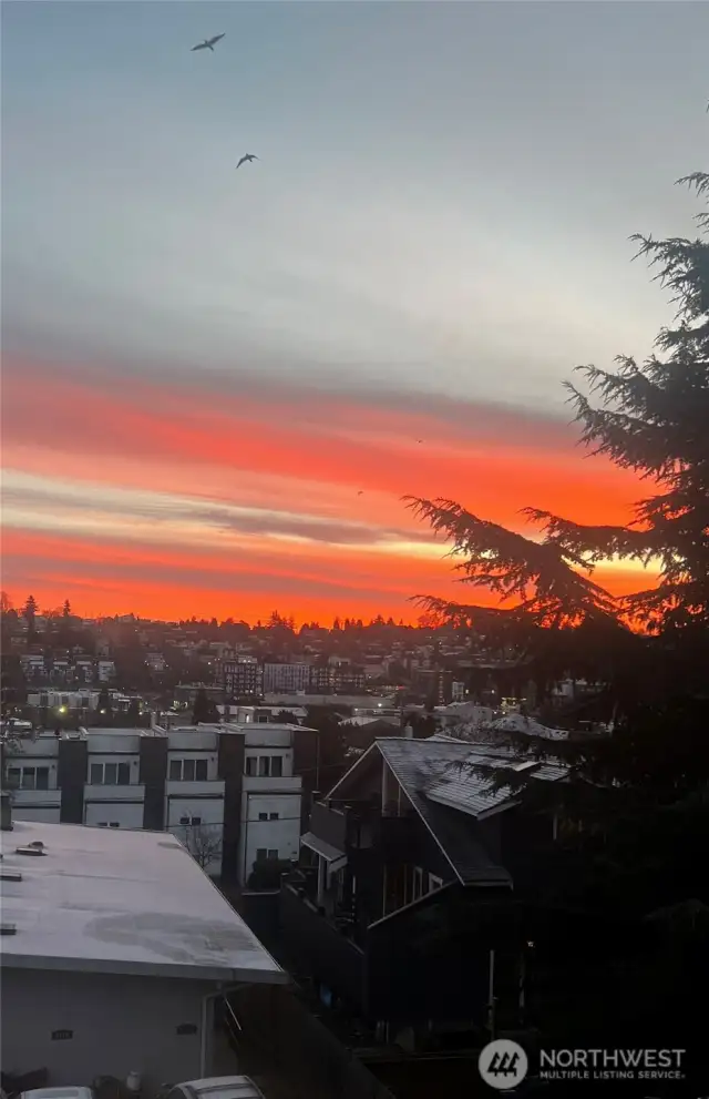 Views from Roof top deck
