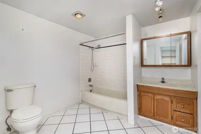 Full bathroom with plenty of room for more storage options.