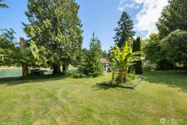 Large grassy area spreads across 3 separate but adjoining properties.