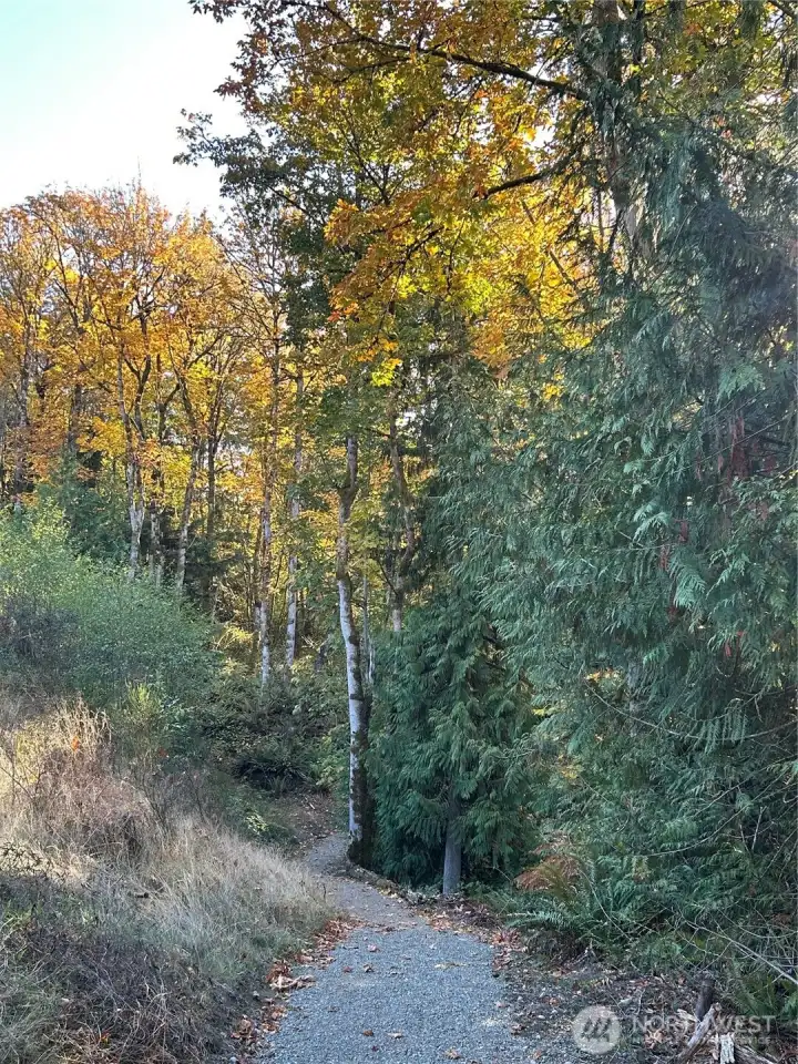 Trails connecting to Clear Creek trail system
