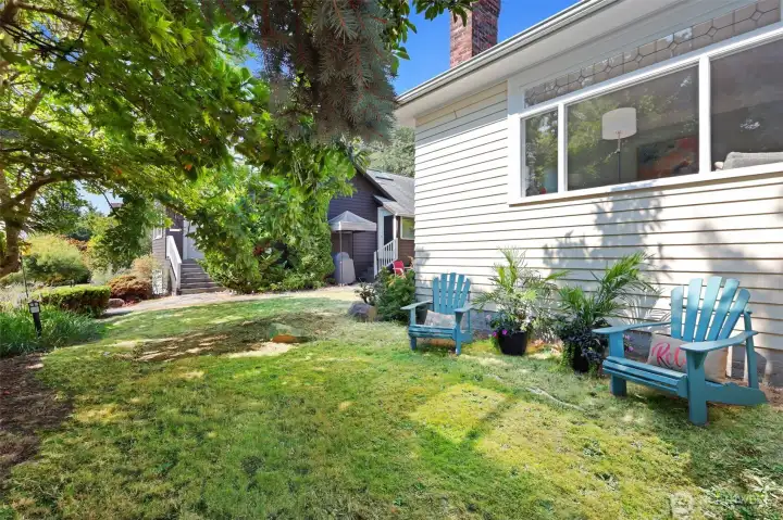 Front lawn under living room window.