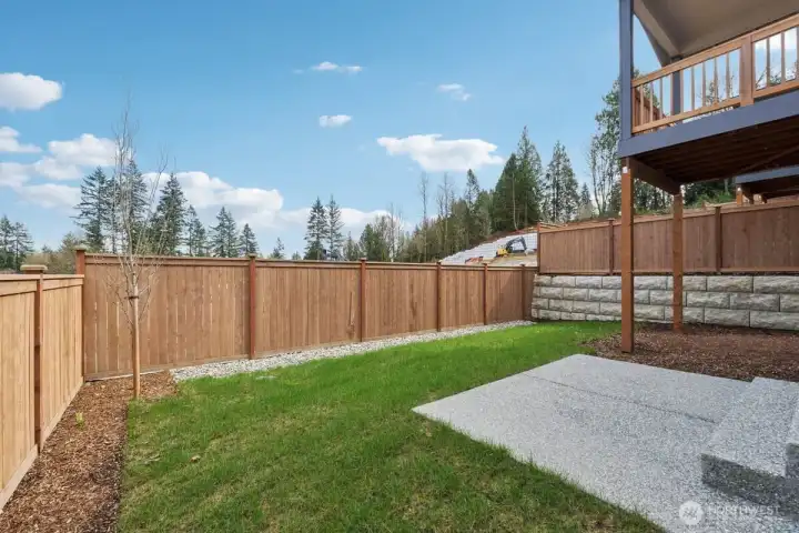 back yard
