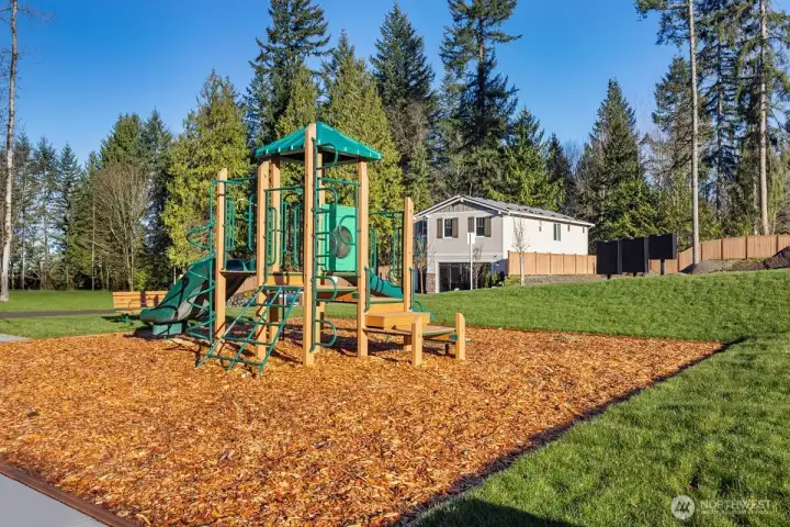 Community Park