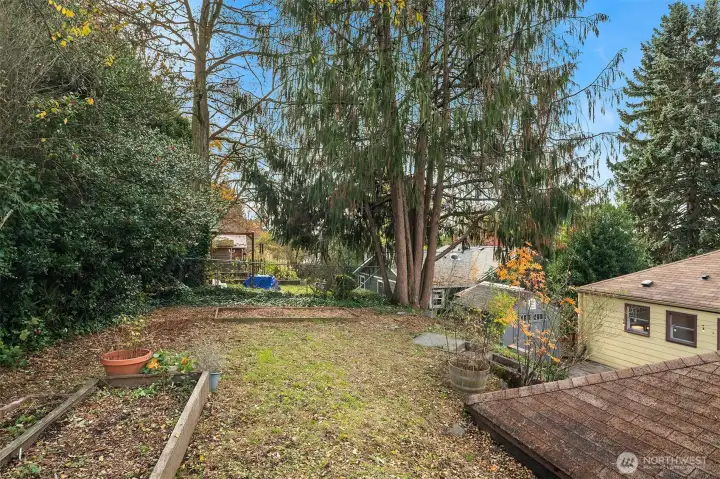 Another look at the upper area of the yard to the east of the house.