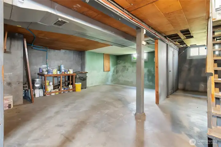 Basement with storage abundance