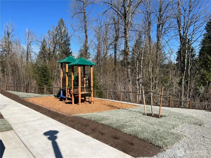 Community Park Community Park