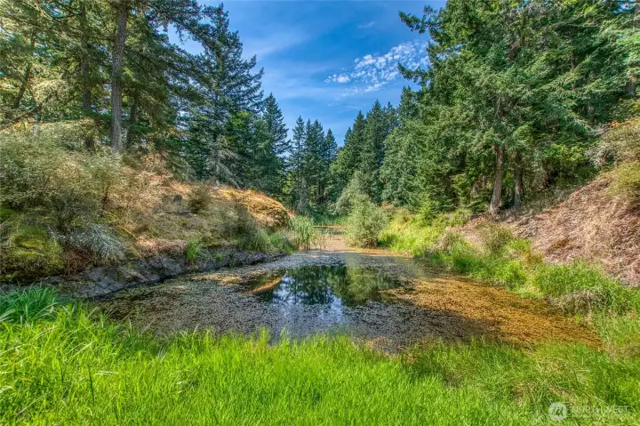 The pond was created in a ravine by original owners who obtained a permit The pond was created in a ravine by original owners who obtained a permit