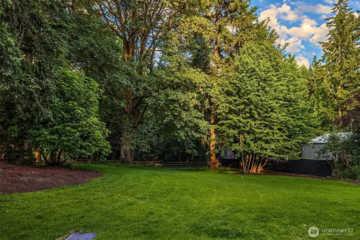 lush, private backyard park-like oasis.