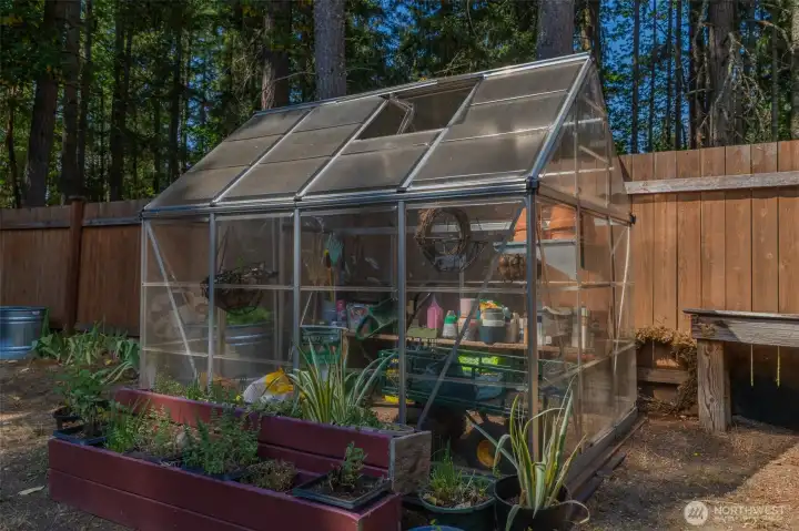 Green House Green House