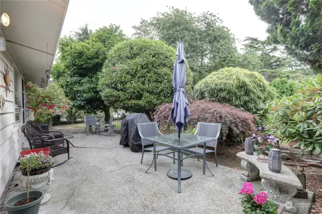 A large patio area in the backyard offers plenty of space for entertaining guests, enjoying meals, or simply relaxing outdoors. The open-air environment lets you connect with nature and enjoy the natural ambiance.