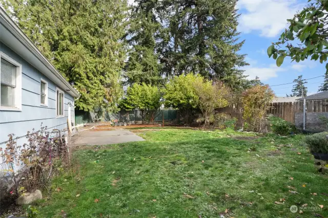 Back yard is mostly fenced.