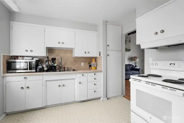 Stainless steel double kitchen sink. Pantry space.