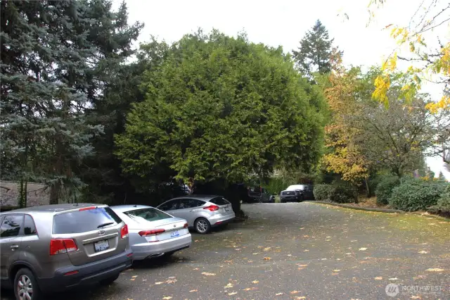 Lots of Parking