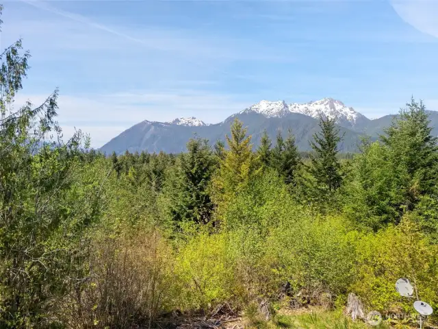 View from Dow Mountain Rd