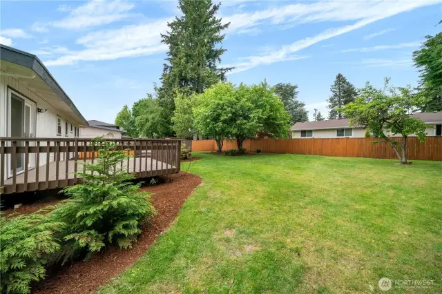 Large fenced backyard.