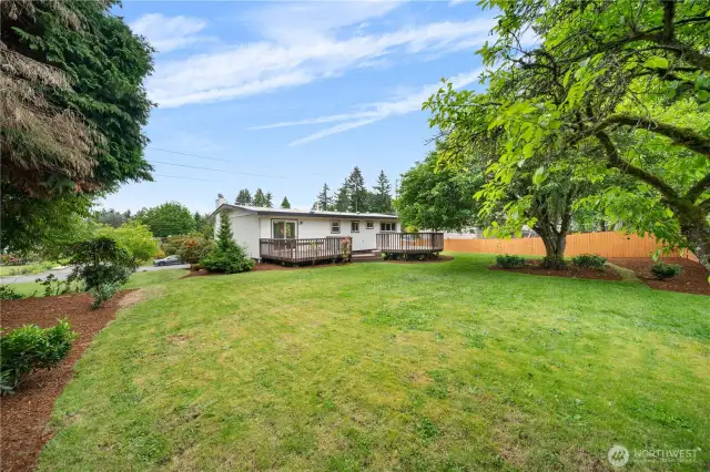Huge backyard is ready for play!