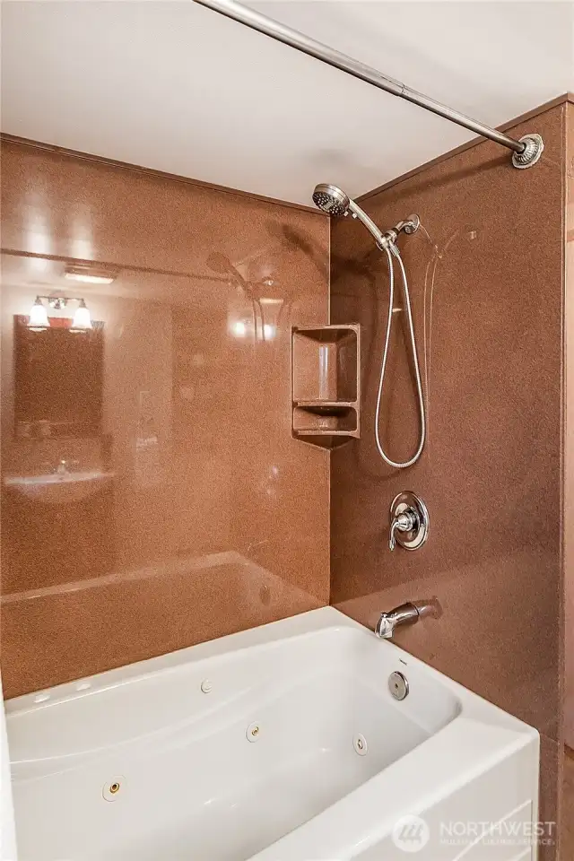 Lower-Level Bathroom 2