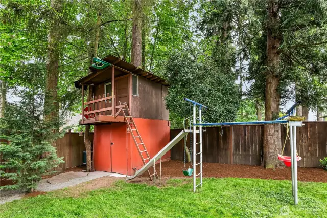 Tree House