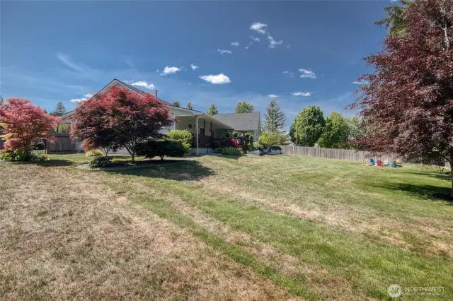 Expansive backyard