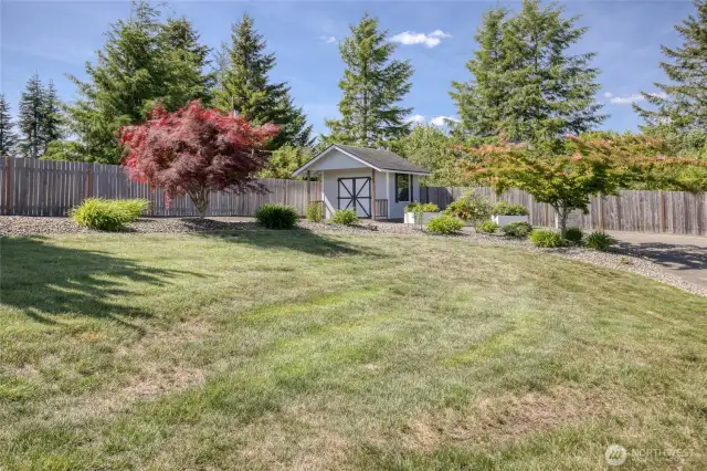 Front yard & Shed