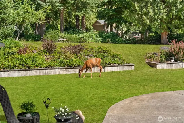Enjoy scenic views of wildlife in their natural habitat. The view never gets old!