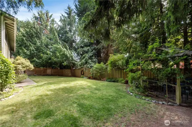 Looking back to Yard-Fully fenced with newer fencing!