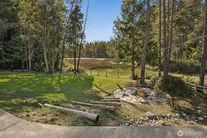 View of the back yard from the patio.