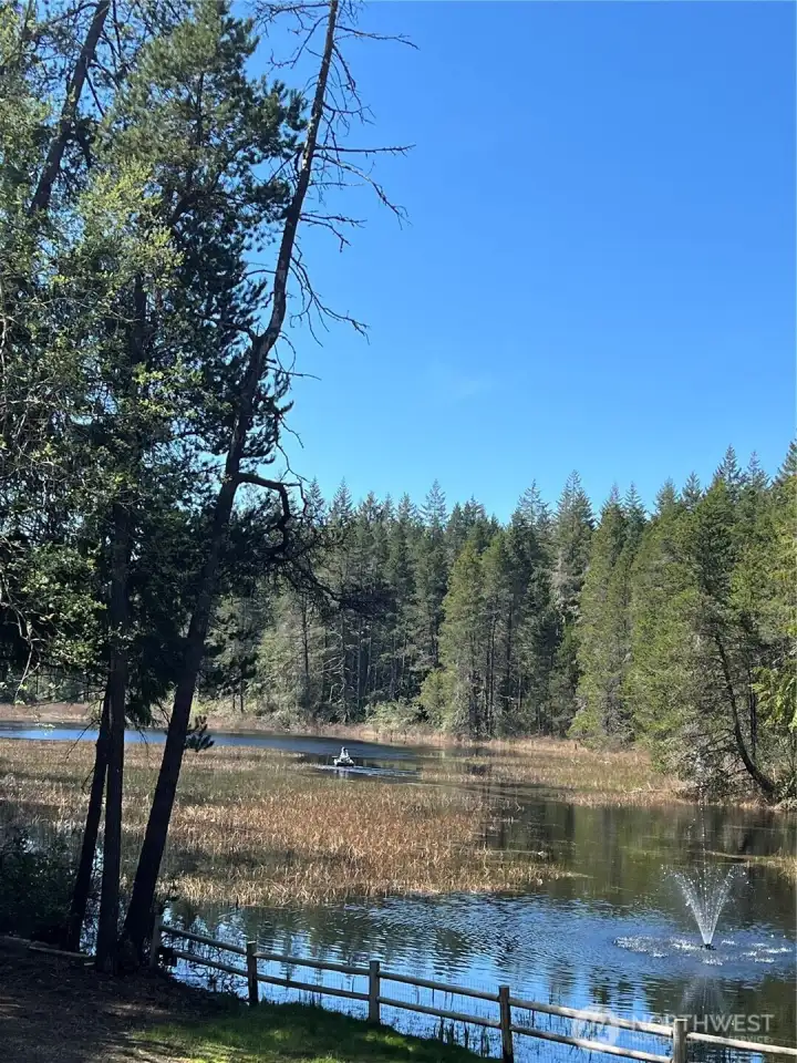 A view of the pond in April.