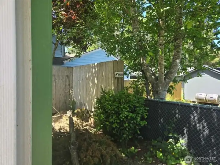 Behind Shed Behind Shed