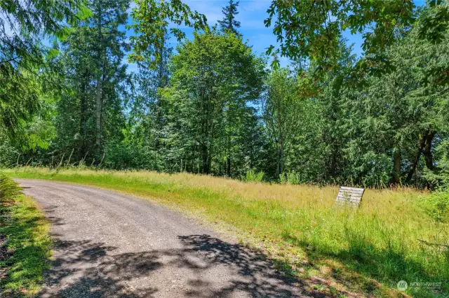 Just along this treeline is where seller was going to build.