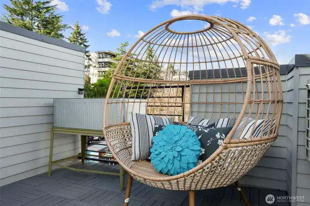 Roof Top Deck with beautiful views of the mountains, S Lake Union, Space Needle and City. The perfect place to curl up with a book, tend vegetables, or grill up some food with your gas grill (hook ups on deck!) Plus, extra storage closet