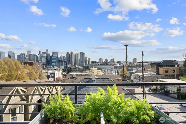View from Rooftop Deck