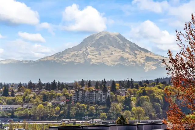 Such an amazing Mt Rainier view!