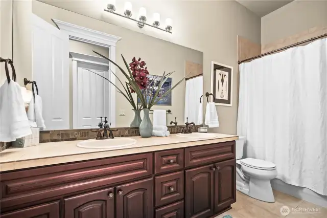 Lower level full bathroom