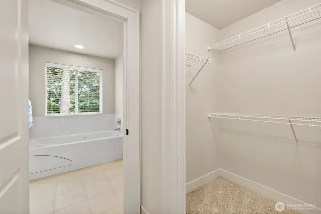 One of the walk-in closets.  There is another directly across from it.