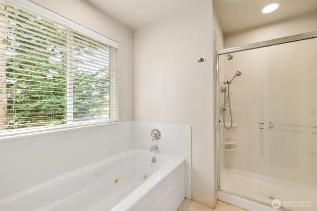 Over-sized jetted tub and large walk-in shower.
