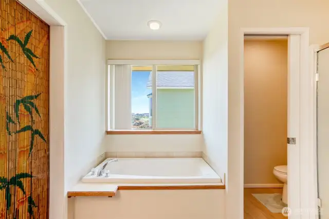Another view of primary ensuite.