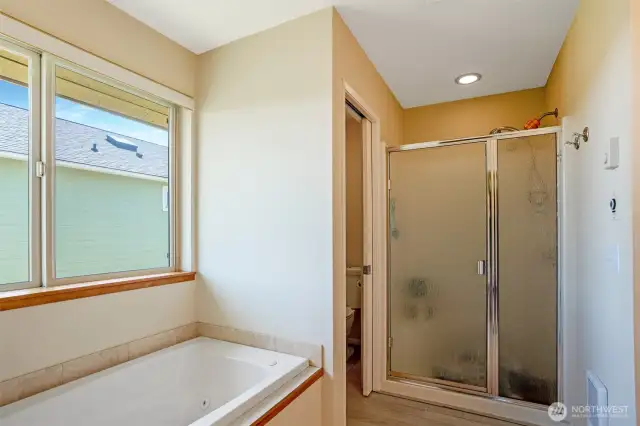 Walk in shower and separate water closet.