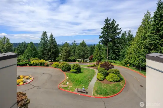 View from patio