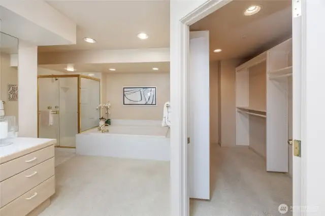 Jacuzzi tub, shower & custom walk in closet
