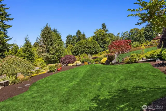 Stunning trees, bushes and perrenials surrounding the lawn.