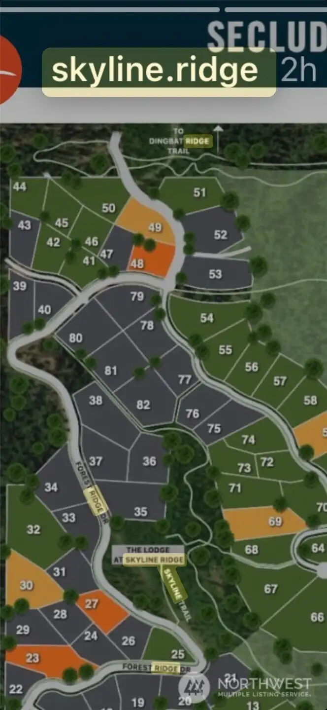 Map showing lot 47 and the surrounding lots.  Access is from Forest Ridge Dr.