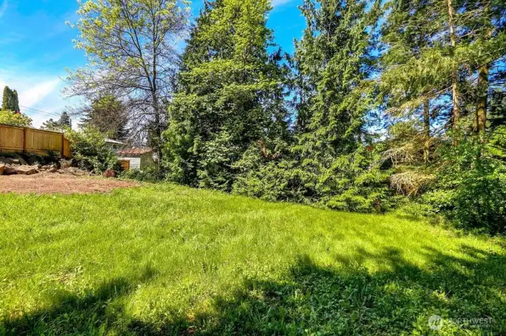 Trees mostly at edge of property.