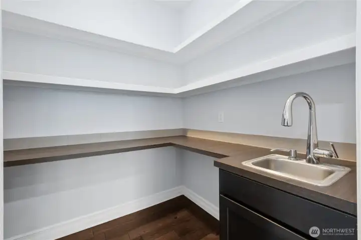 Large walk-in butler’s pantry featuring custom shelving and a sink, perfect for organized storage and a dedicated coffee station.