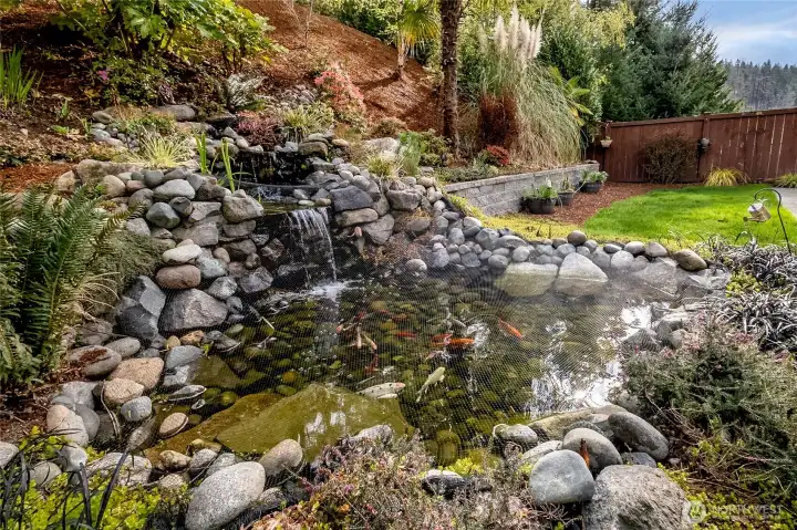 A gentle waterfall cascades into the Koi pond, creating a peaceful backyard escape.