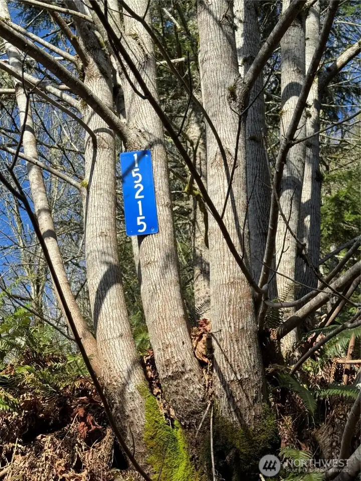 Address posted on tree to the left of electrical box
