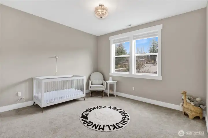 Main level bedroom (secondary bedroom #2)